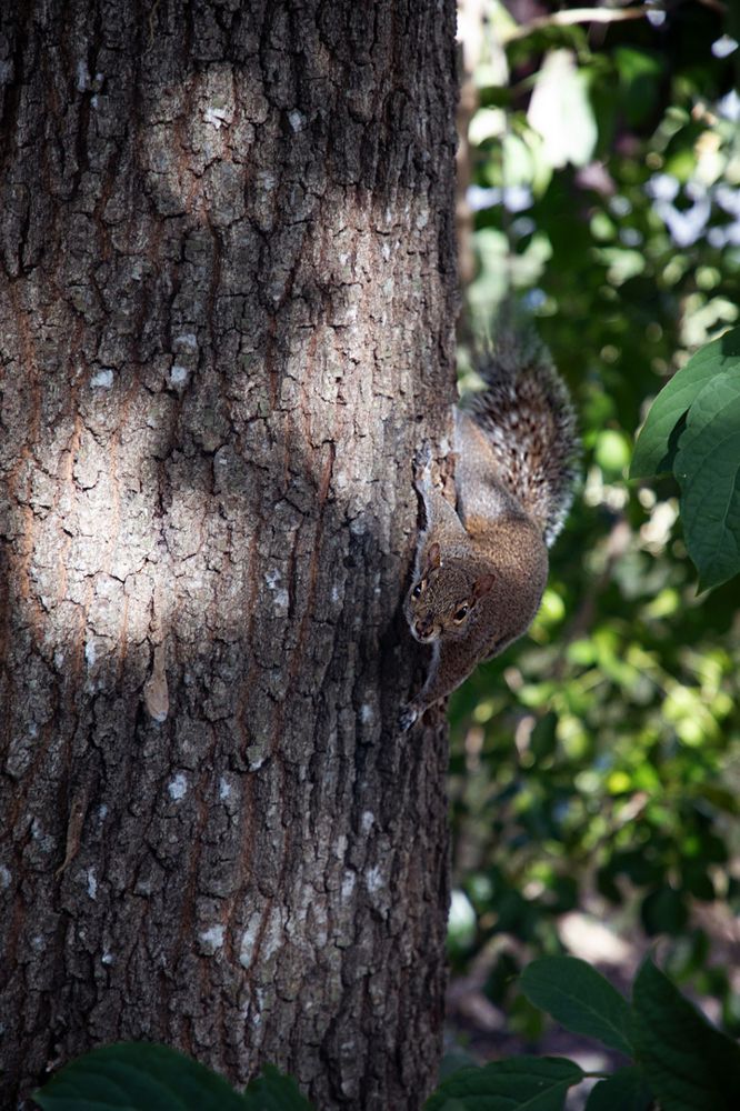 Фотография автора Татьяна Анпилова