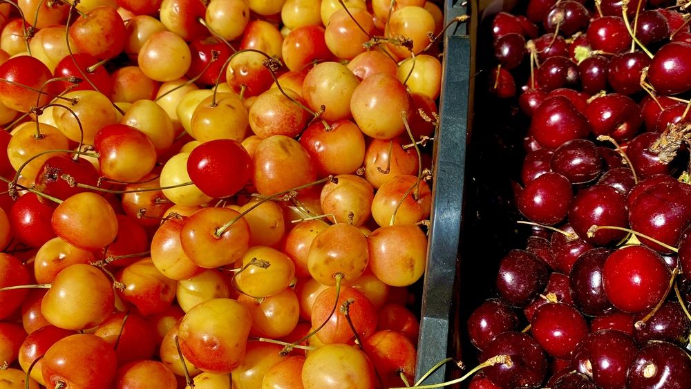 Photograph by Сергей Смирнов