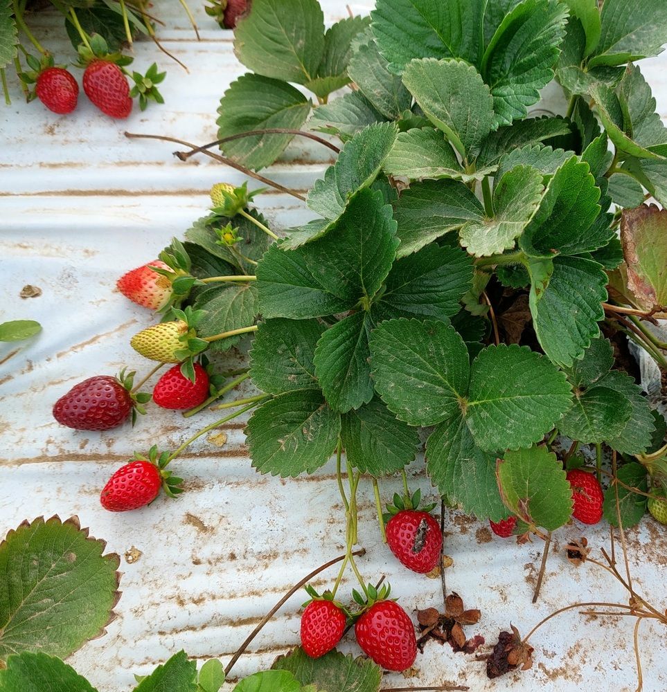 Photograph by Yulia Rotbach