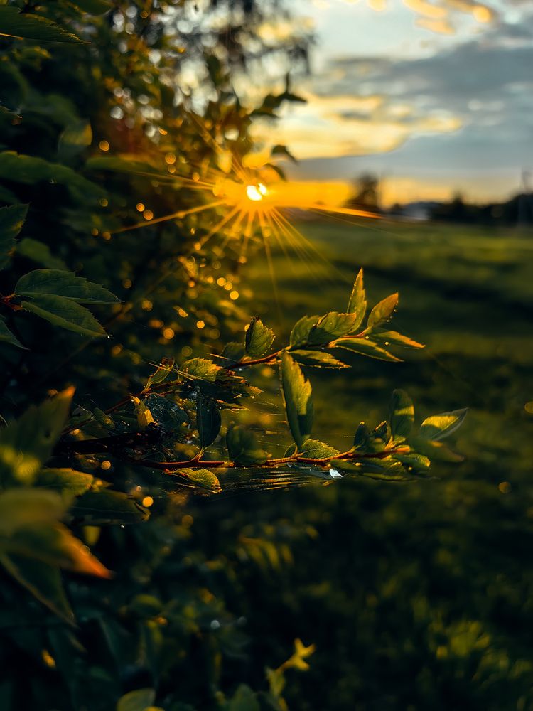 Photograph by Ольга Карева