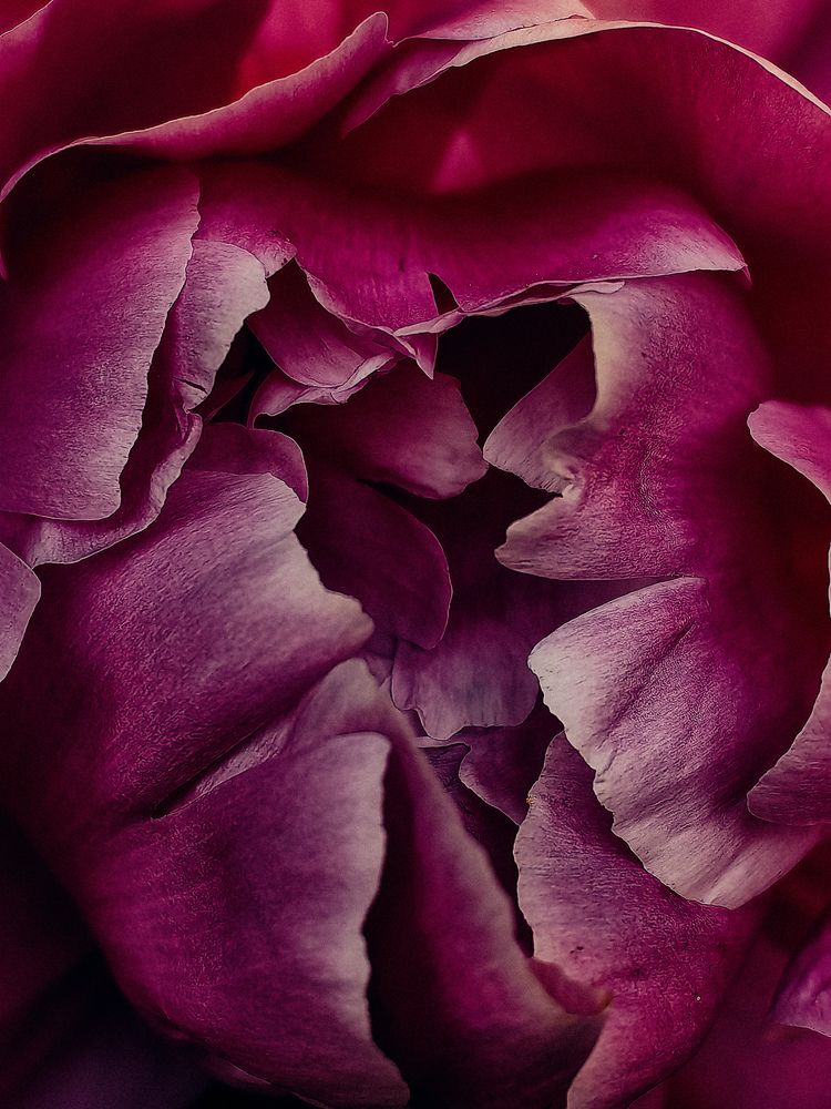 Photograph by Ольга Карева