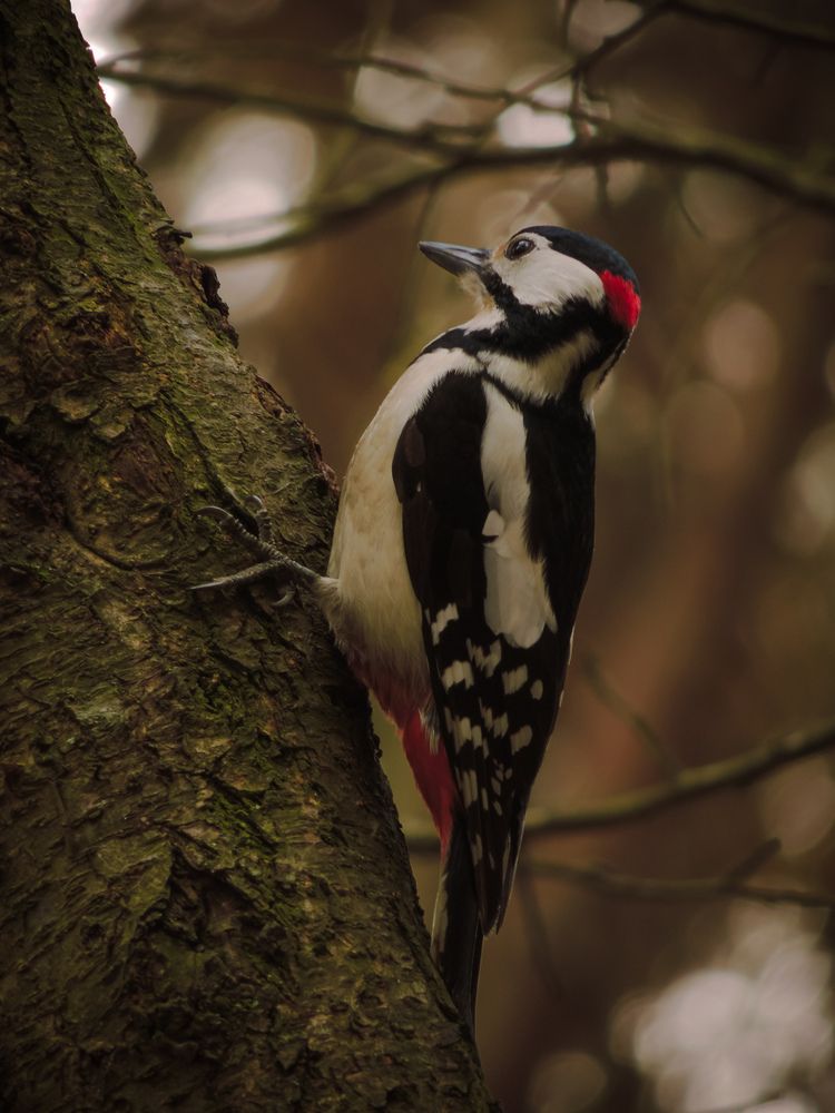 Photograph by Игорь Сухаревич