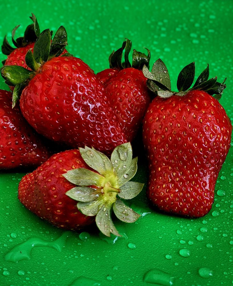 Фотография автора Galina Israilov