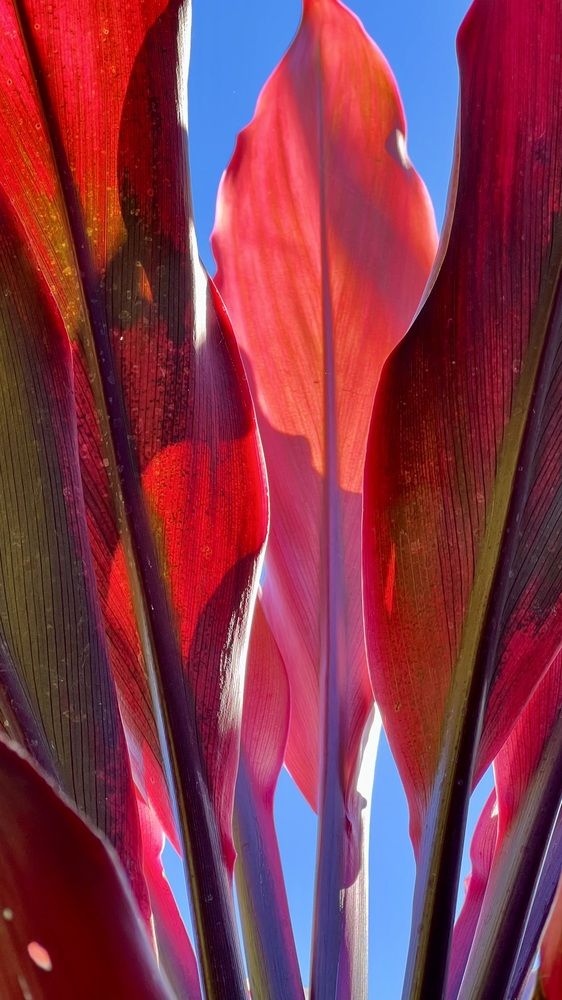 Photograph by Swetlana Lebedev