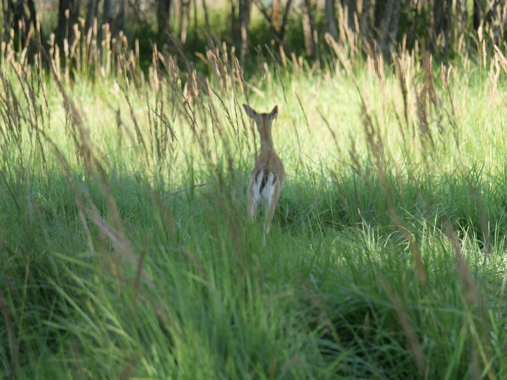 Photograph by Nikolai T