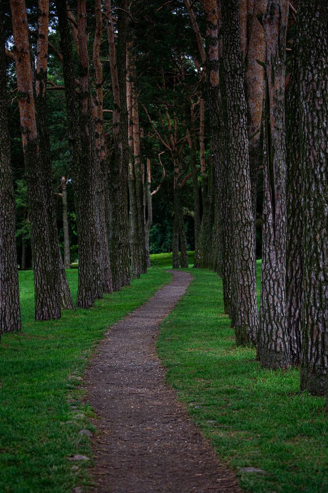 Photograph by Дмитрий Кулаков