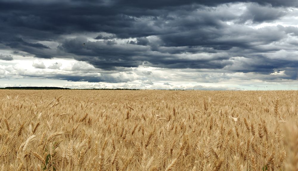 Photograph by Grădinaru Catalin