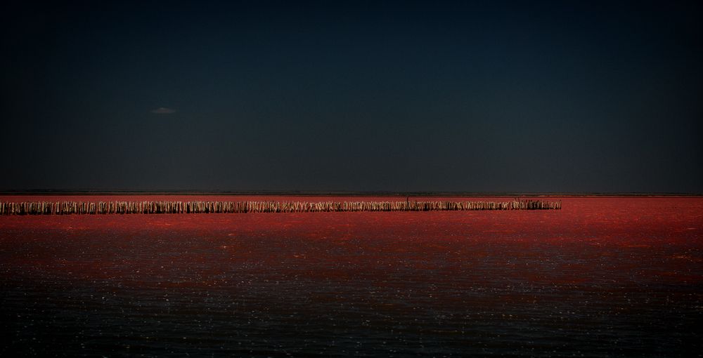 Photograph by Геннадий Литвинов