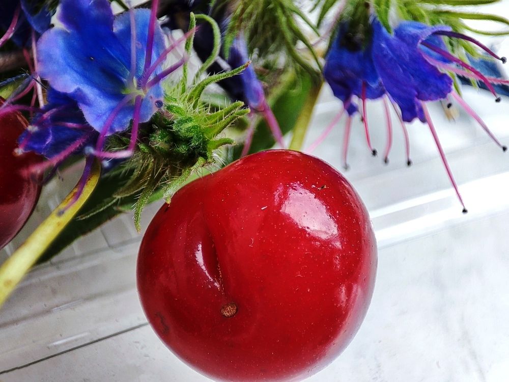 Photograph by Ирина К.