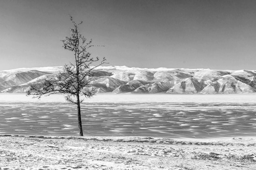 Photograph by Сагдиева Эльвира