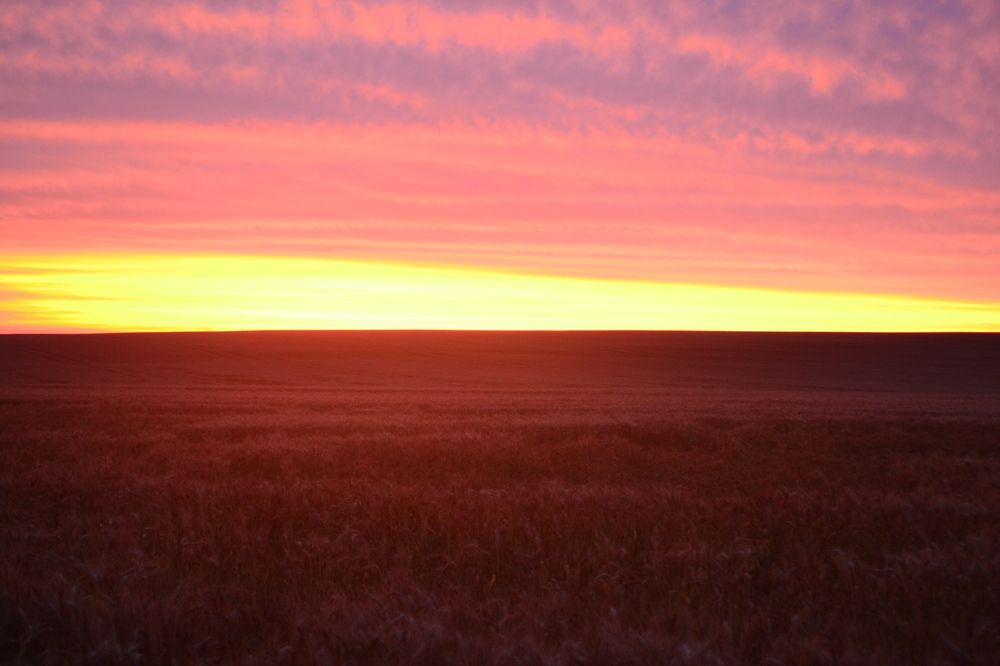 Photograph by Gildo de Campos Correa