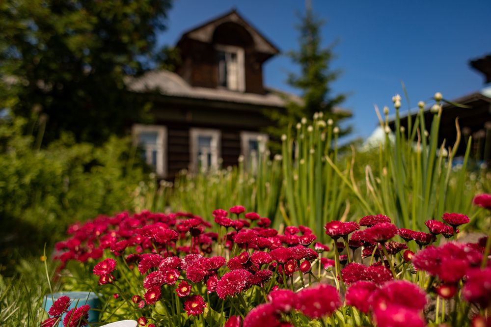 Photograph by Валентин Кузьмин