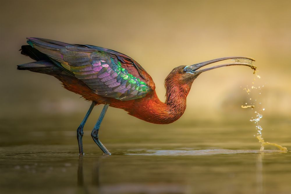 Photograph by Bui Trong Nghia