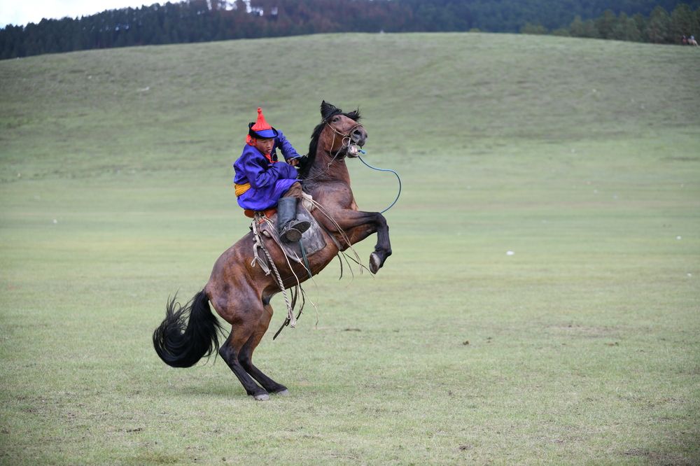 Photograph by Enkhjargal Sugarjav