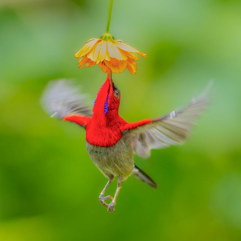 Photograph by Bui Trong Nghia