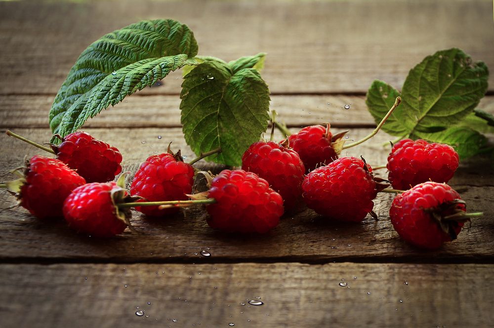 Photograph by Галина Фрейман