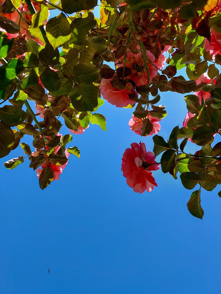 Photograph by Кристина Сысоева