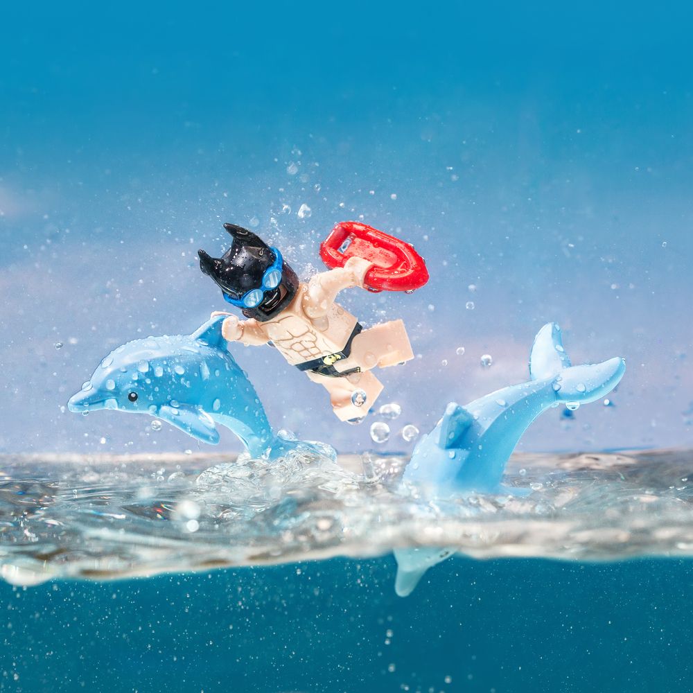 Фотография автора Александр Гусев