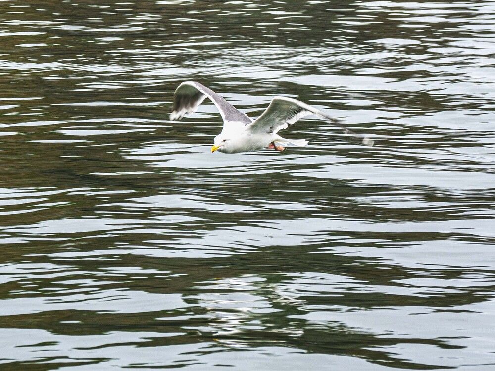 Photograph by Борис Полтавец