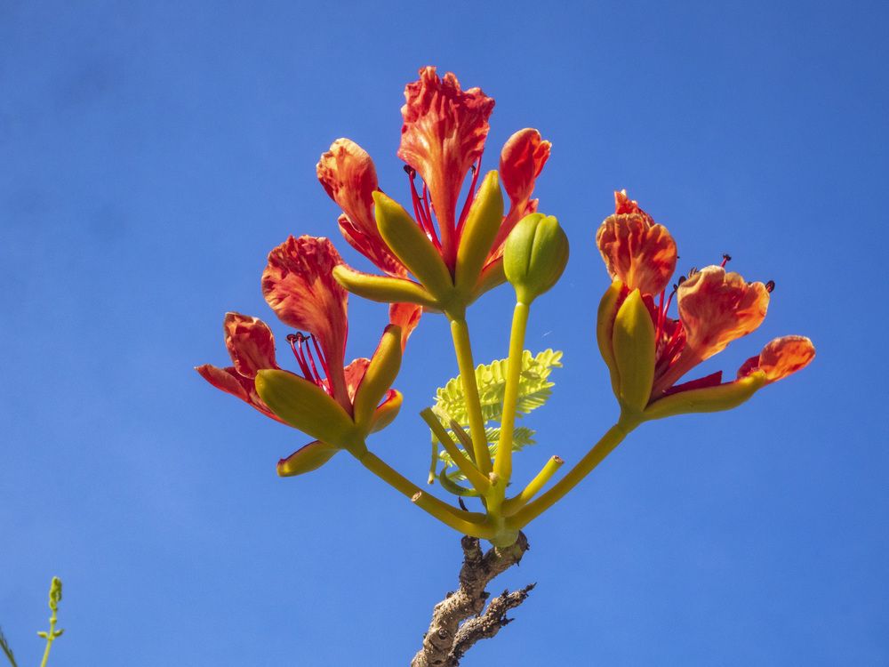 Photograph by Борис Полтавец