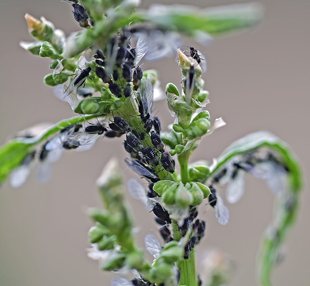 Фотография автора Александр