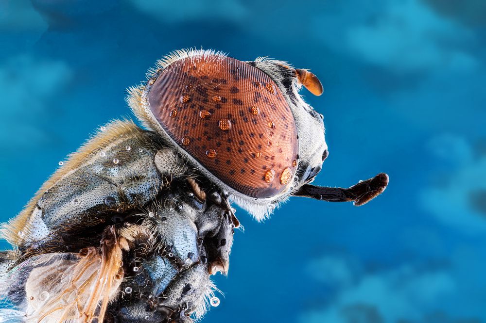 Photograph by Hocine Ferhat