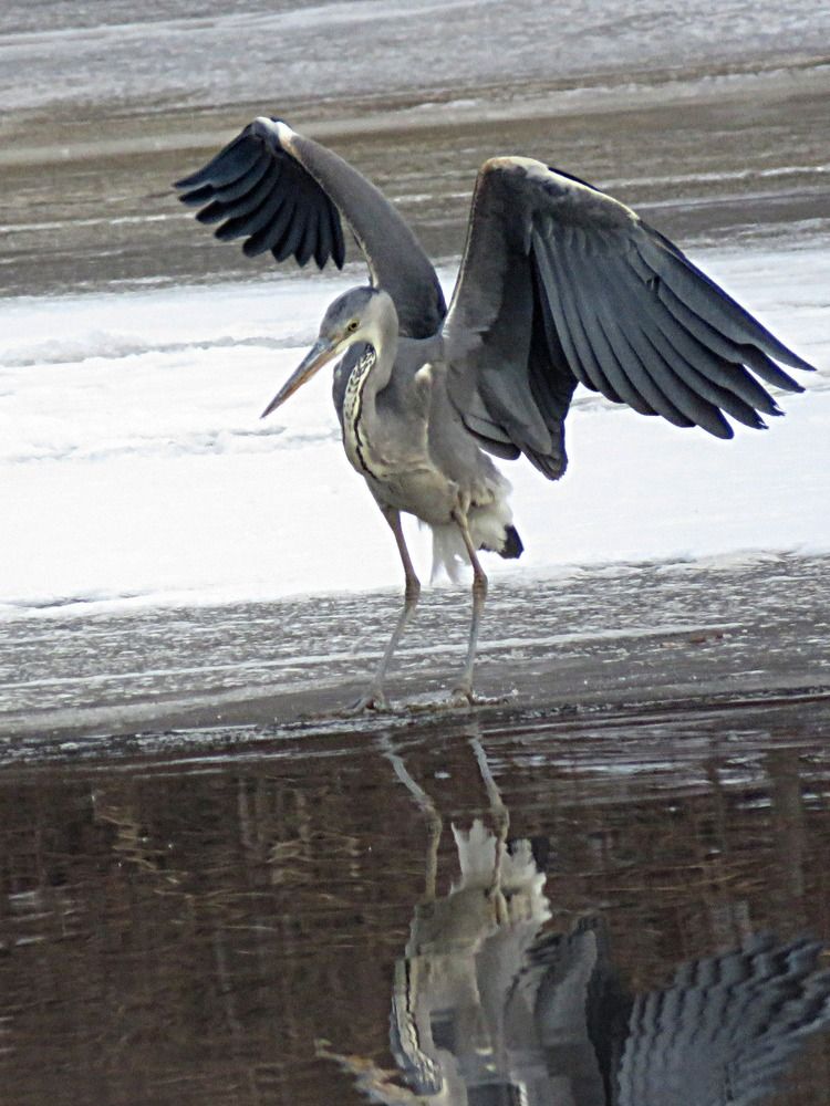 Photograph by Галина Пименова