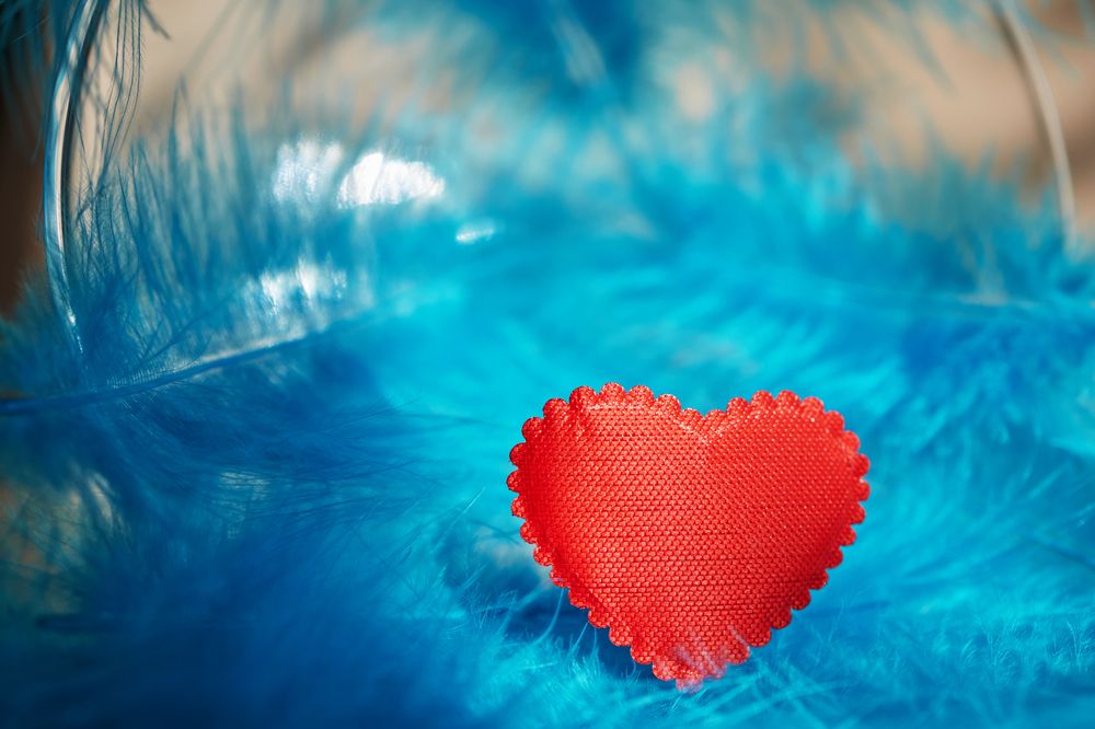 Photograph by Елена