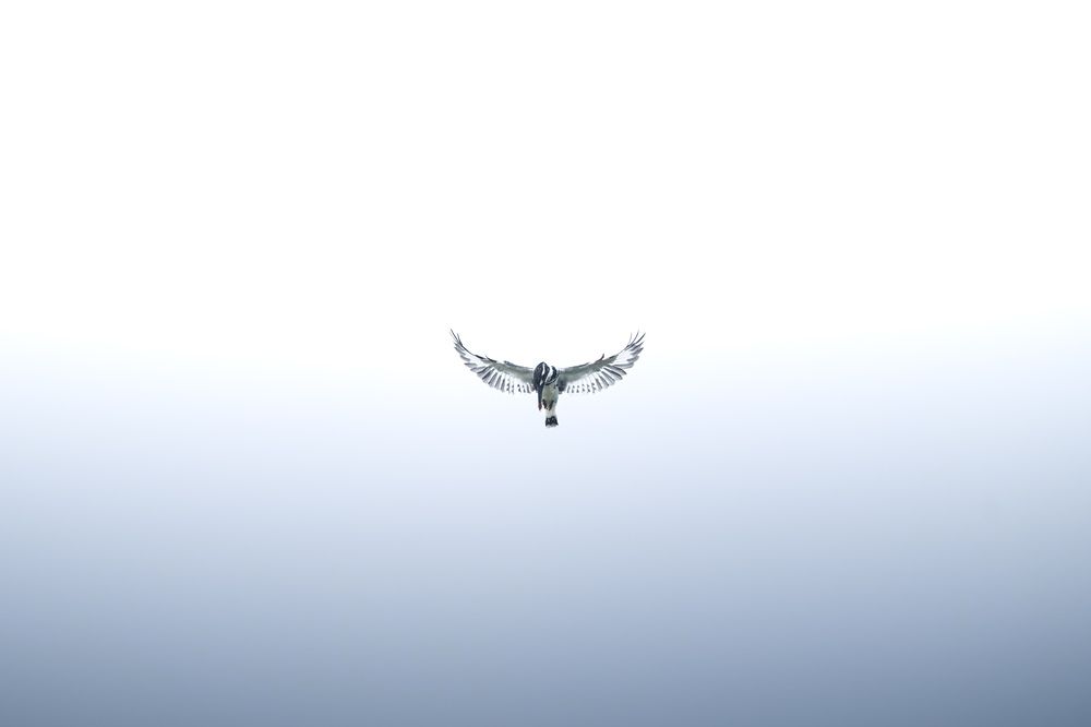 Photograph by Muhammed Zidan Photography