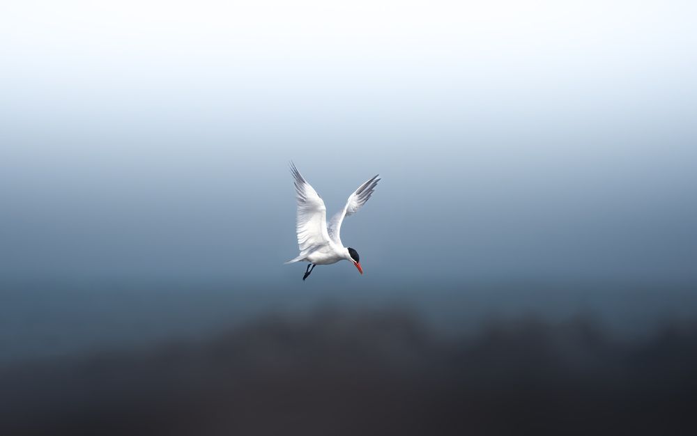 Photograph by Muhammed Zidan Photography