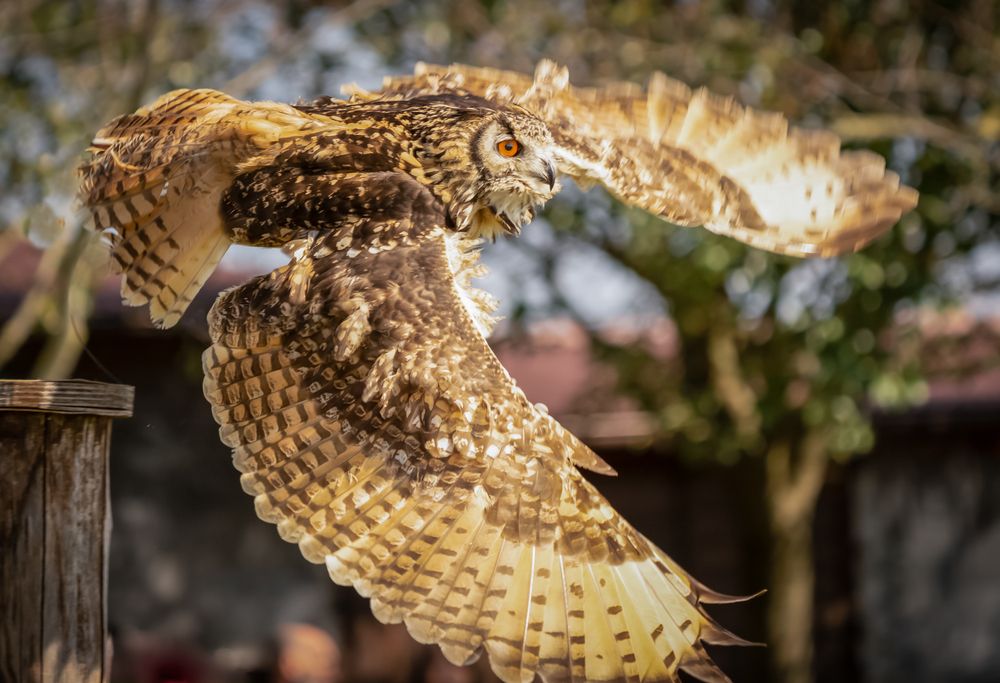 Photograph by Дария Максимова