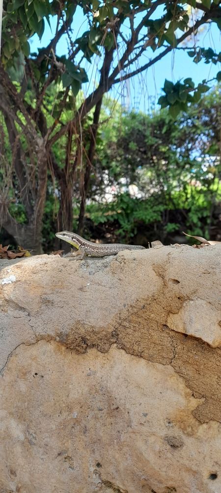 Photograph by Seljan Muradzade