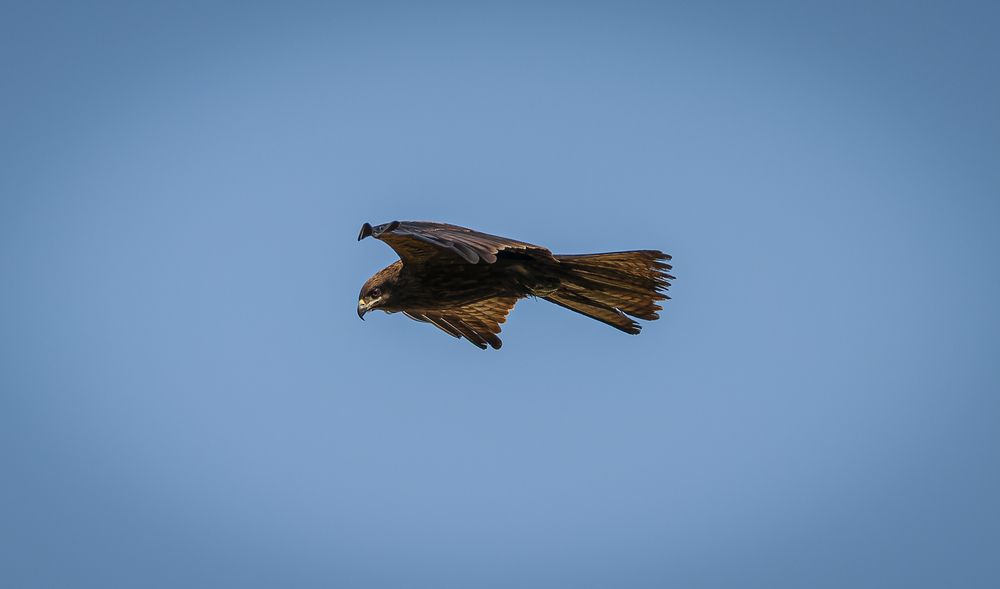 Photograph by Вадим Басов