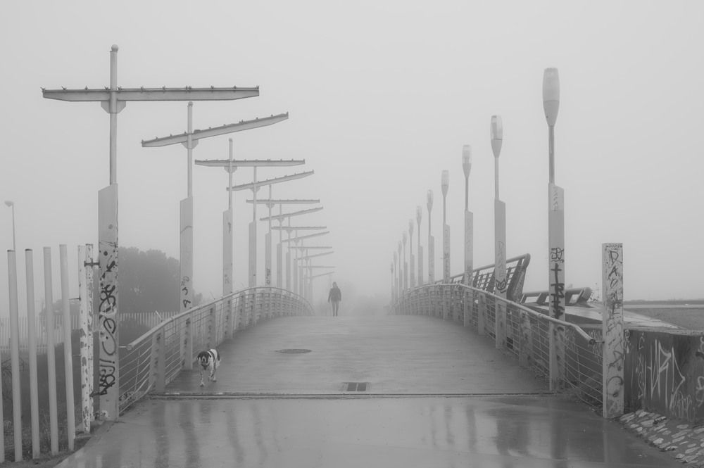 The man, the dog and the fog