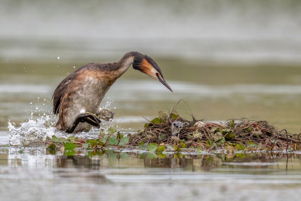 Photograph by Константин Тучин