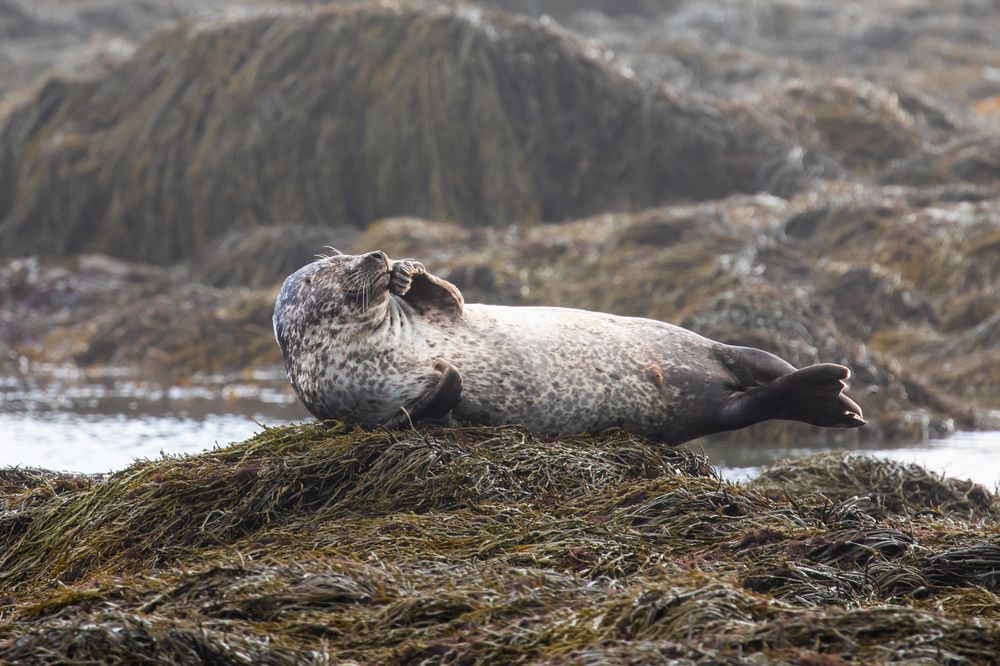 Photograph by Евгения Чех