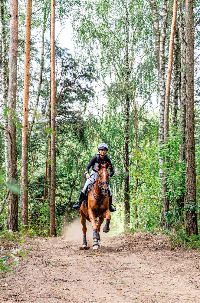 Photograph by Ника Прокопенко