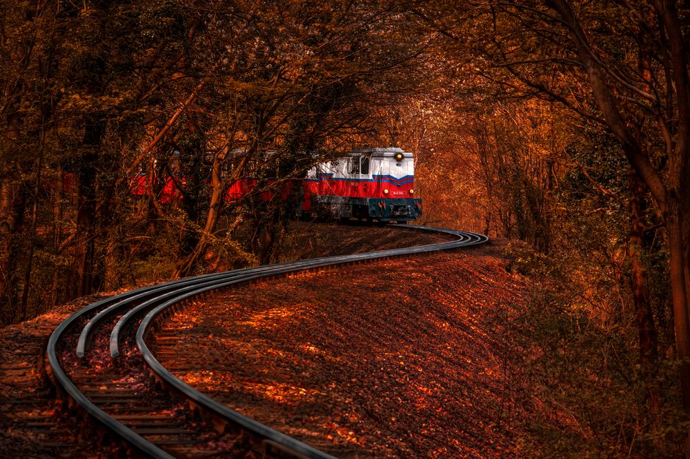 Through the Autumn Curve