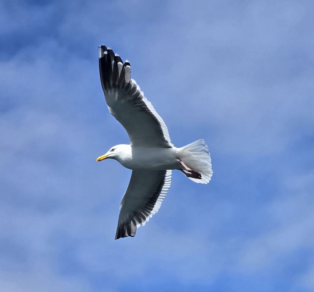 Photograph by Лариса Ким