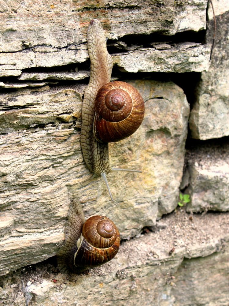Photograph by Алексей Макаров