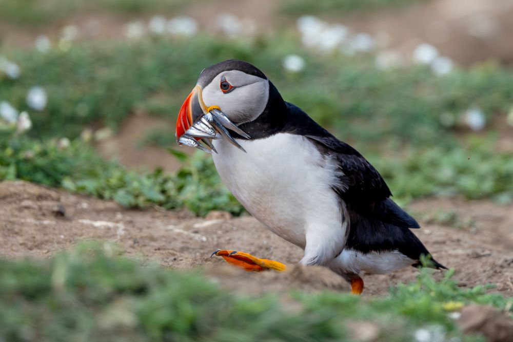 Photograph by Ellen Lichtenheldt