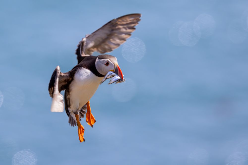 Photograph by Ellen Lichtenheldt