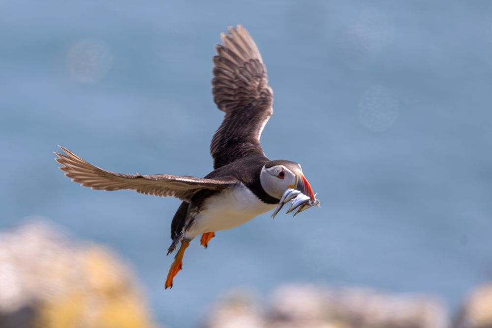 Photograph by Ellen Lichtenheldt