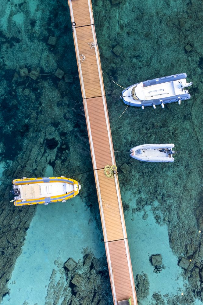 Photograph by Ellen Lichtenheldt