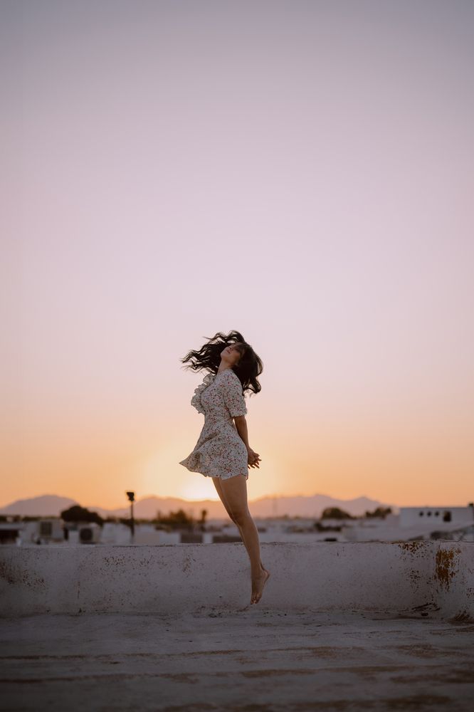 Fly