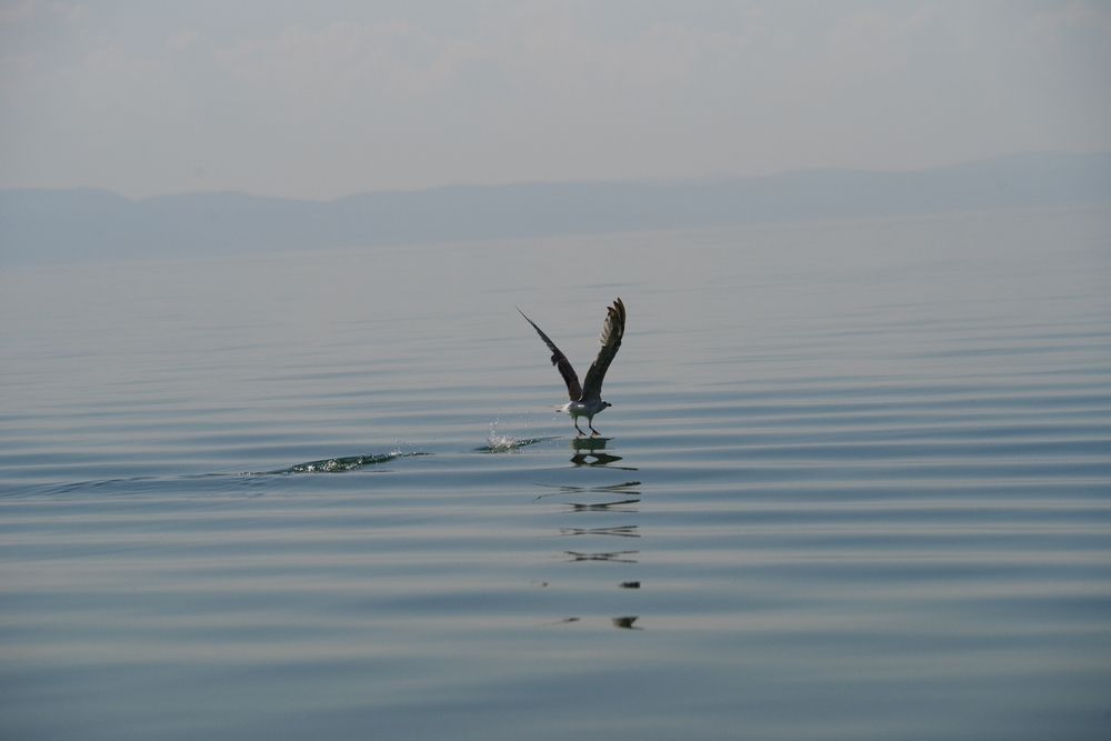 Photograph by Андрей Корытов