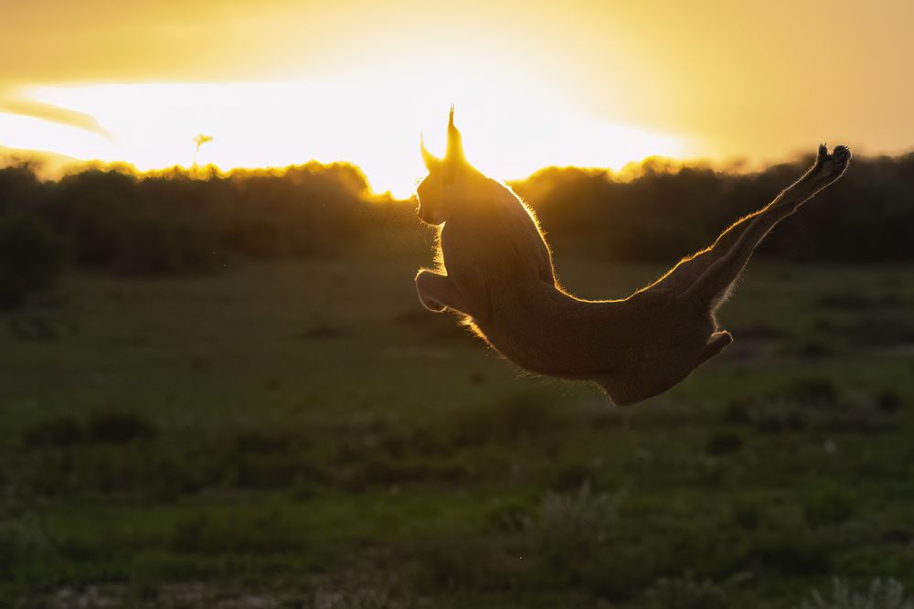 Photograph by Варвара Дронова
