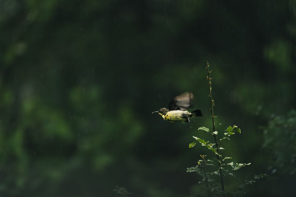 “The Moment Between”