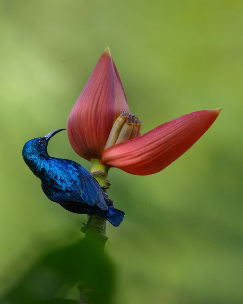 Photograph by Prabhat Ghosh