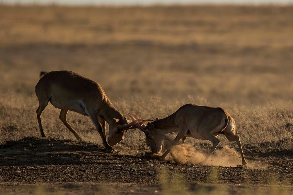 Фотография автора Варвара Дронова